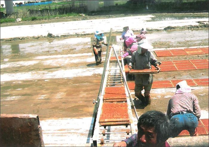 부원 알루미늄묘판이송기 TK(무동력) 사진2