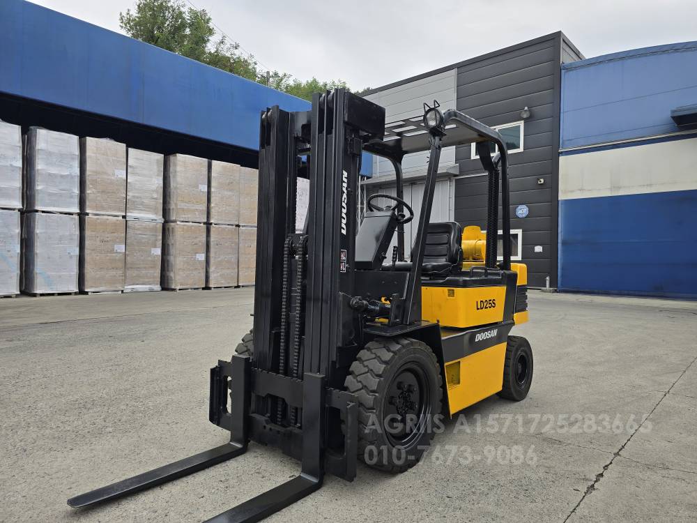 Doosan Forklift LD25S-2  뒤우측면