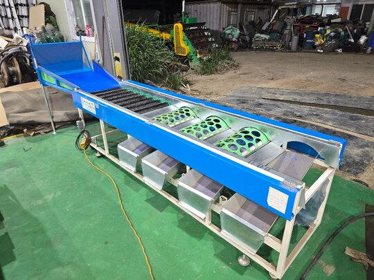 미래에스티 감귤선별기 선별기