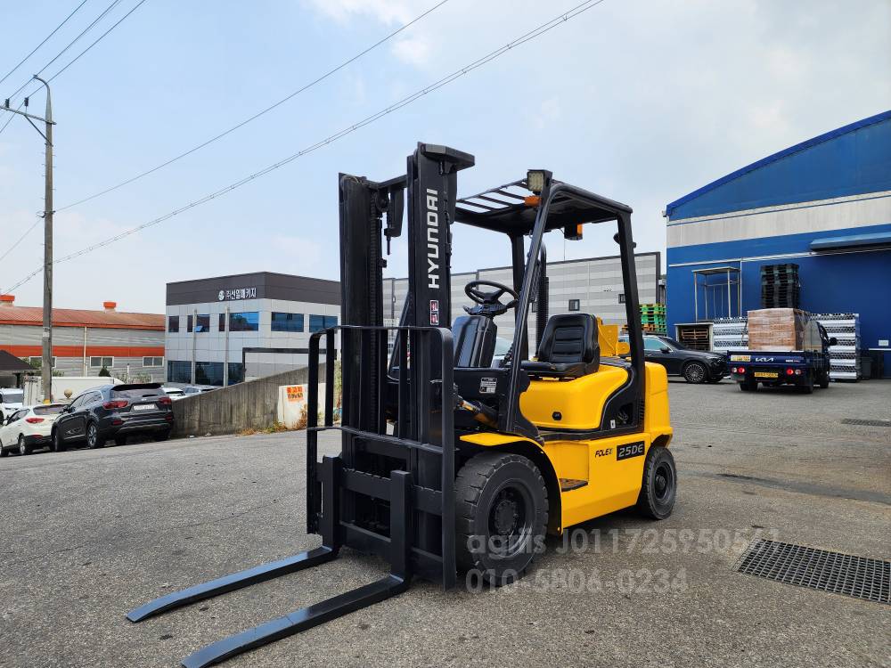 Hyundai Forklift 포렉스2.5톤12년식지게차  뒤우측면