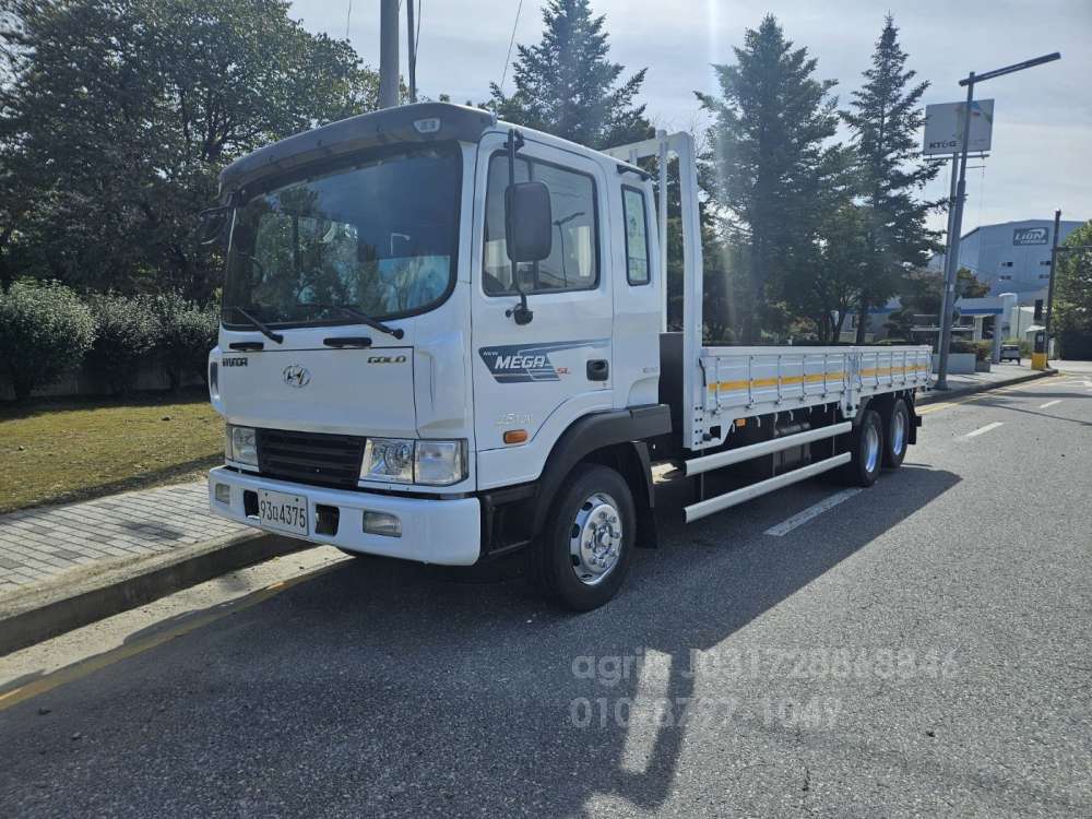 Hyundai  6m25 초장축 후축 카고트럭 