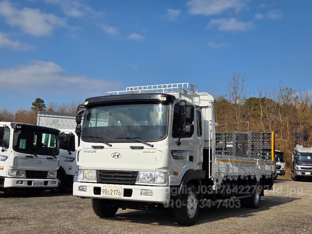 현대 메가트럭5톤 6m25초장축자동사다리 뒤우측면