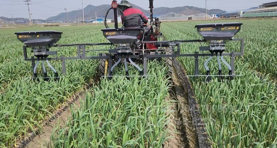  데이지팜 조니시측조시비기 데이지팜 조니시측조시비기 