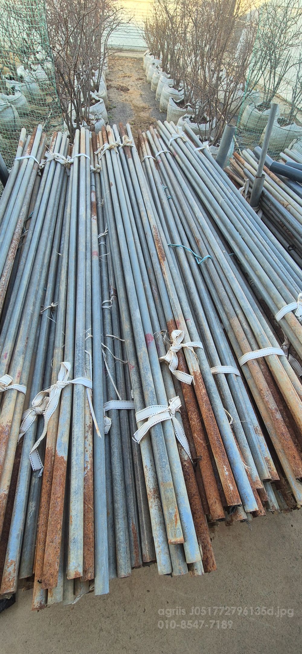  고추 지지대 파이프 고추 지지대 파이프  뒤우측면