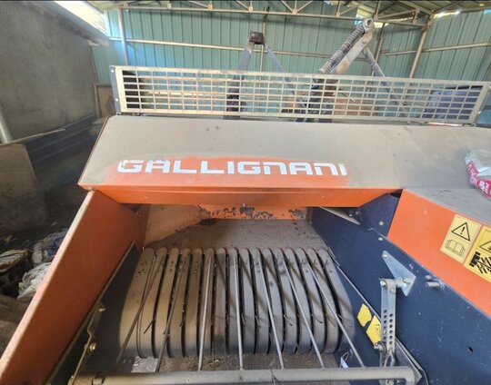 Gallignani 사각베일러 Gallignani(이탈리아)
